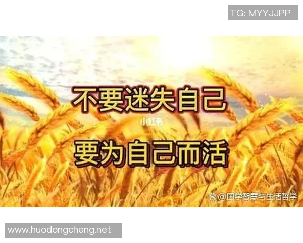 年轻人如何在卡拉卡斯维克中找到自我与未来的方向探索之旅