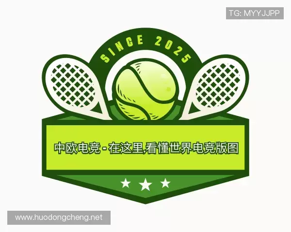解读中欧电竞